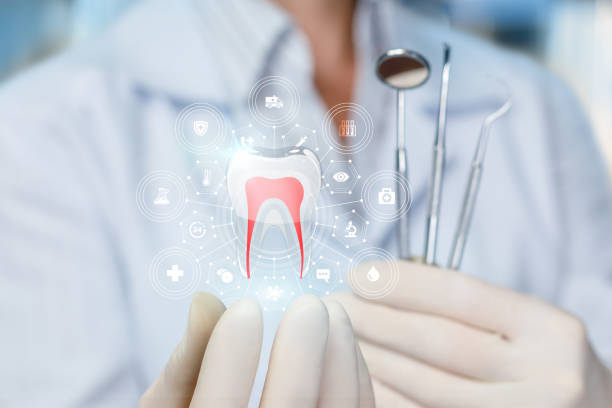 Best Pediatric Dentistry  in Saxon, SC